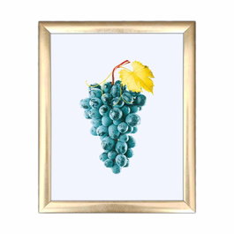 Wallity Cuadro Decorativo ACT-021 Multicolor